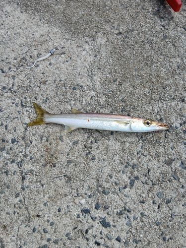 美保湾