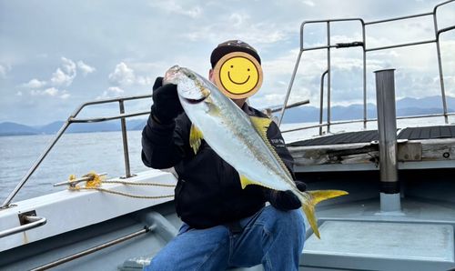 ヒラマサの釣果