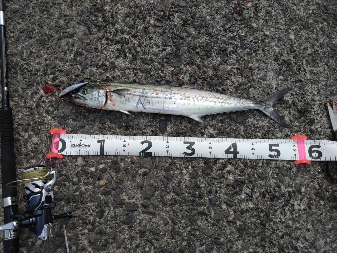 APIA グランデージ アトラス BLUE RUNNER 100Hの最安値・インプレ