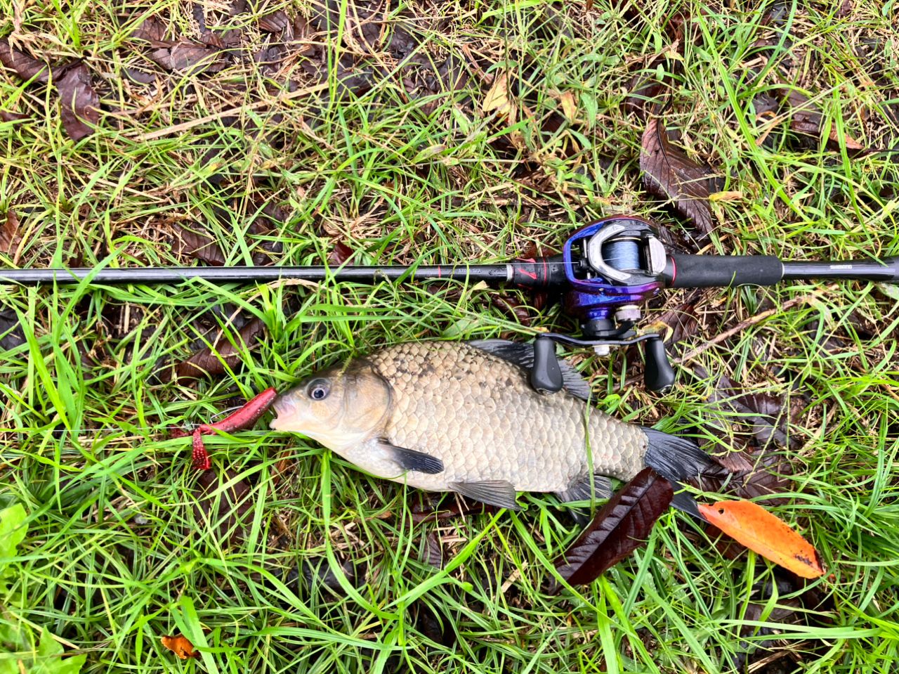 SHIMANO 20ゾディアス 170M-G/2の最安値・インプレ・釣果 | 本音の