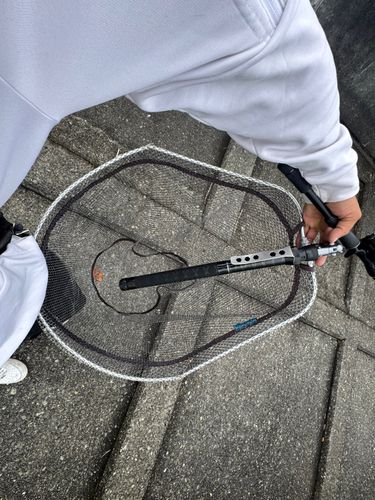瀬戸川河口