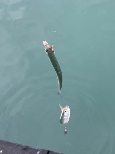 用宗広野海岸公園