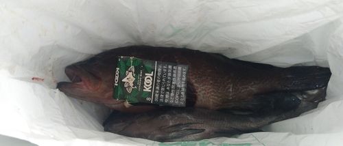 日本鋼管付近