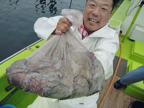 マダコの釣果