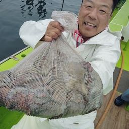 マダコ
