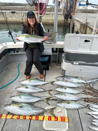タチウオの釣果