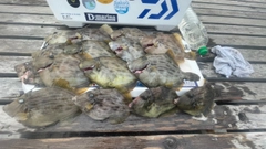 キタマクラの釣果