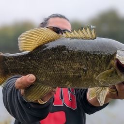 スモールマウスバス