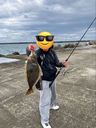 ヒラメの釣果