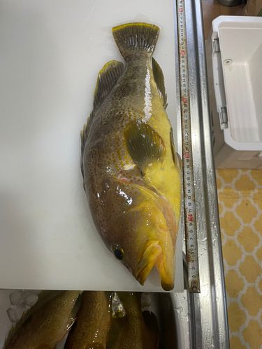 島根半島沖