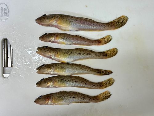 釣川
