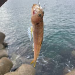 エソ