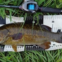 スモールマウスバス