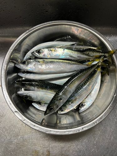 小樽港厩町岸壁