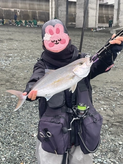 ショゴの釣果