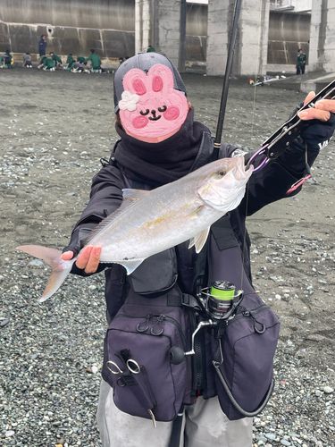 国府津海岸