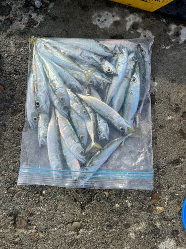 石狩湾新港