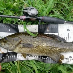 スモールマウスバス