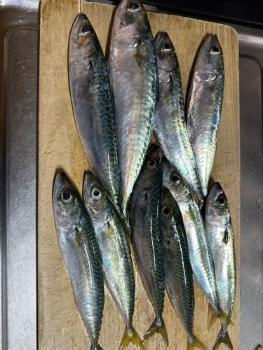 両石湾