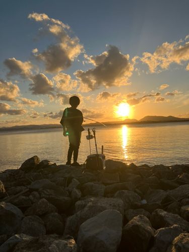 中海