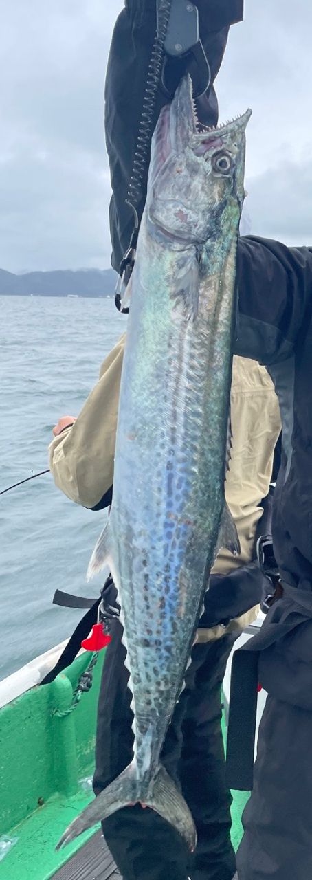 kenken4021さんの釣果 2枚目の画像