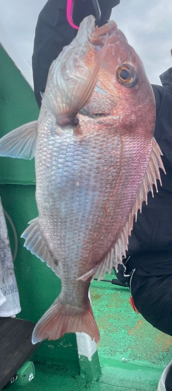 kenken4021さんの釣果 3枚目の画像