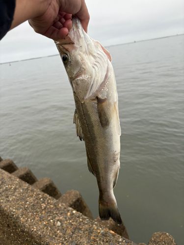 潮浜公園