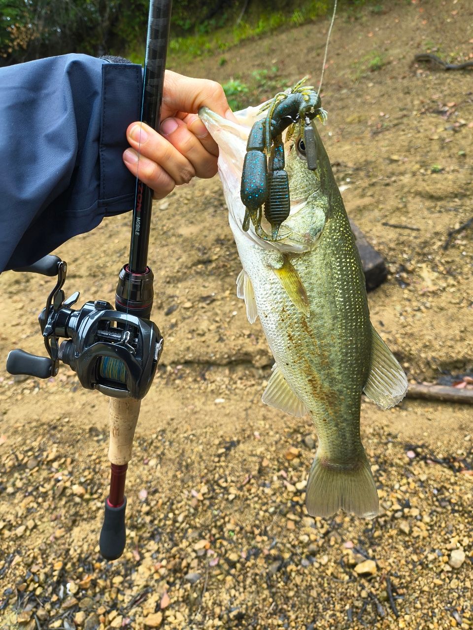 DAIWA 20ブレイゾン モバイル 6106TMBの最安値・インプレ・釣果 | 本音