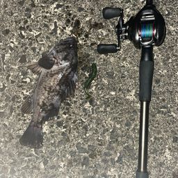 クロソイ