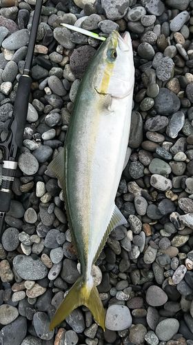 片浜海岸