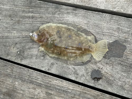 小名浜港アクアマリンふくしま周辺