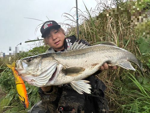 関川河口