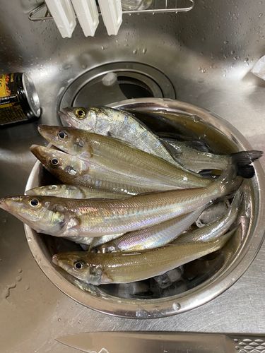 今津湾