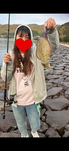 宮津湾