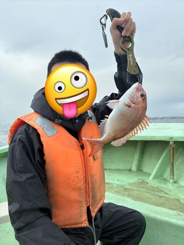 大阪湾