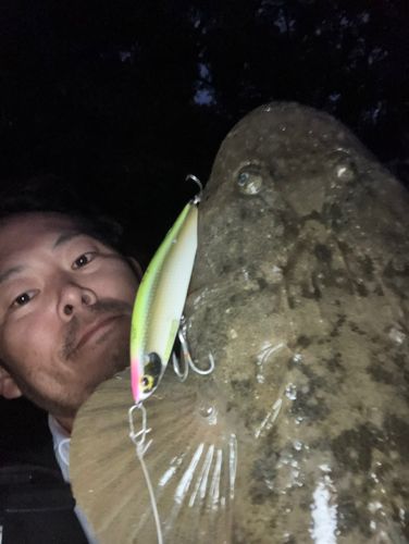 山口湾