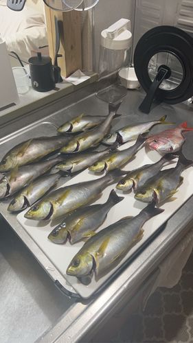久里浜沖
