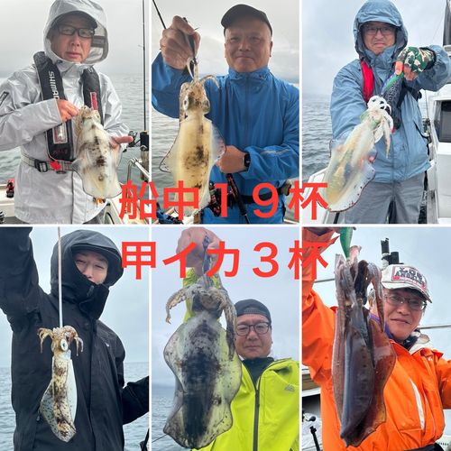 アオリイカの釣果