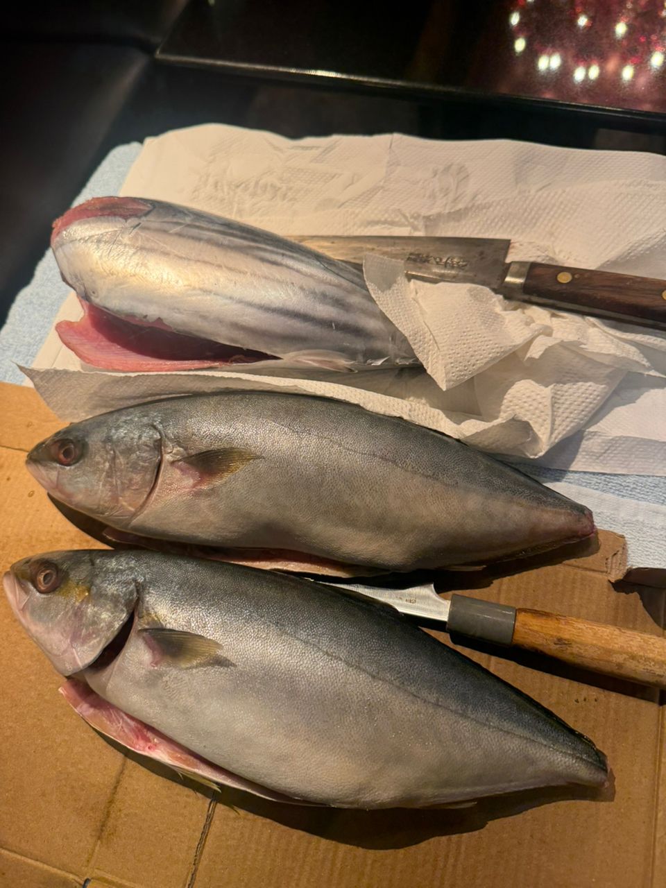 あたるんさんの釣果 2枚目の画像