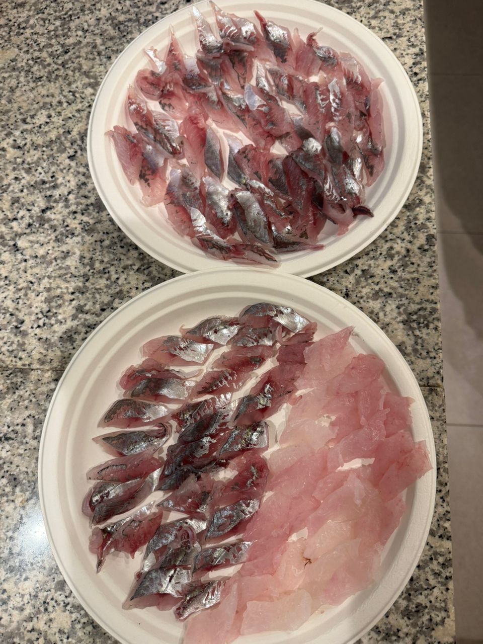 あたるんさんの釣果 3枚目の画像