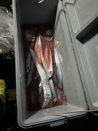 伊勢湾