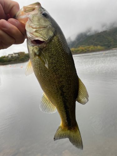 精進湖