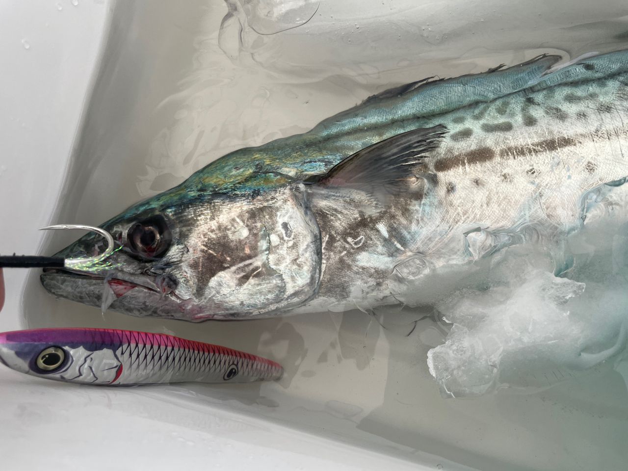 DAIWA 22アウトレイジ J61S-4の最安値・インプレ・釣果 | 本音の口コミ