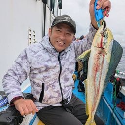 シイラ