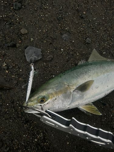 辻堂海浜公園前
