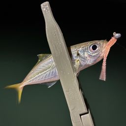 アジ