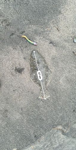 阿武隈川河口