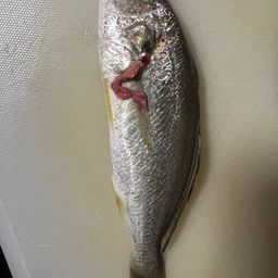 イシモチ