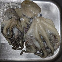 タコ