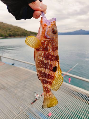 あかぐり海釣公園
